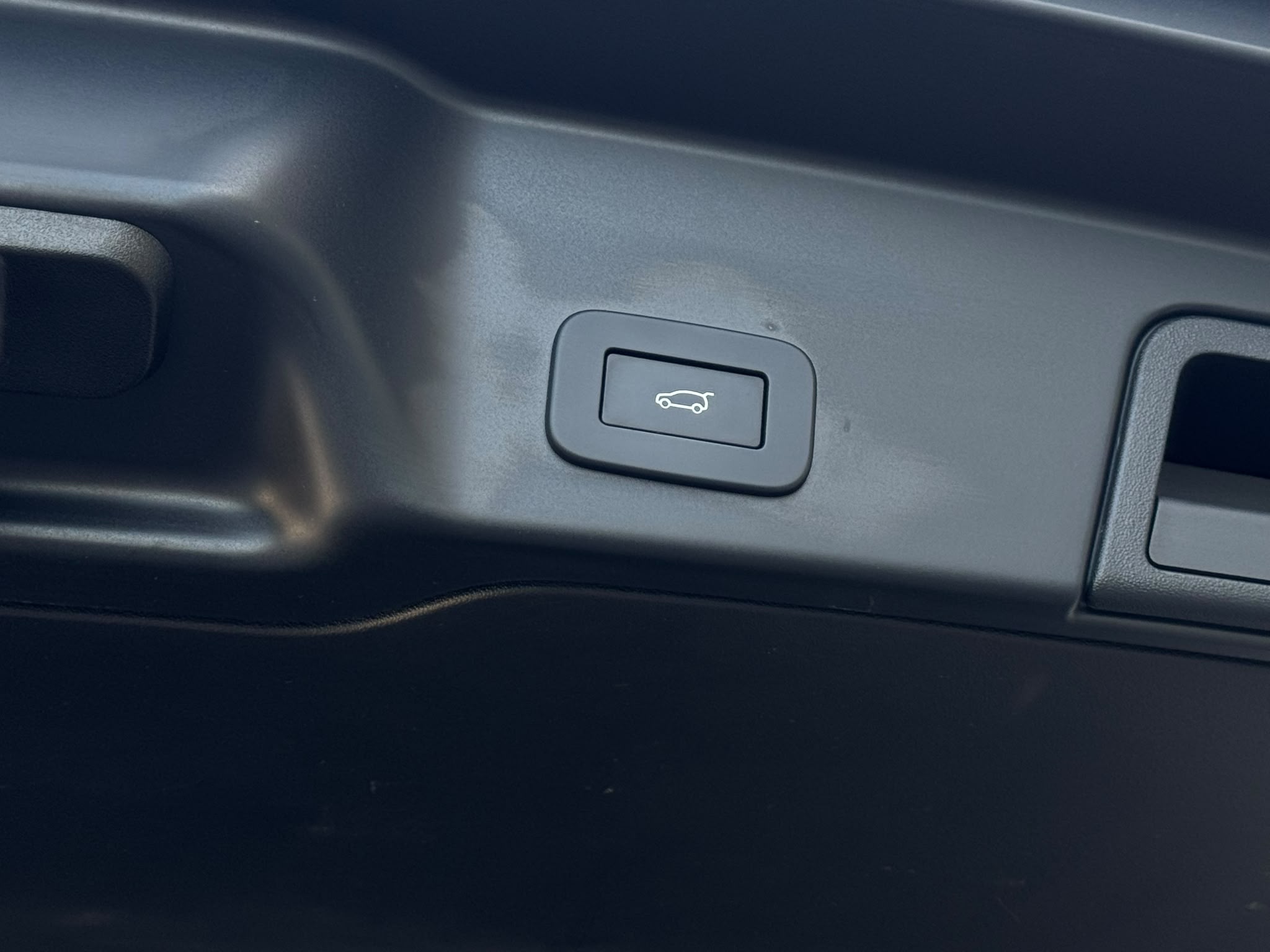 31 (2)